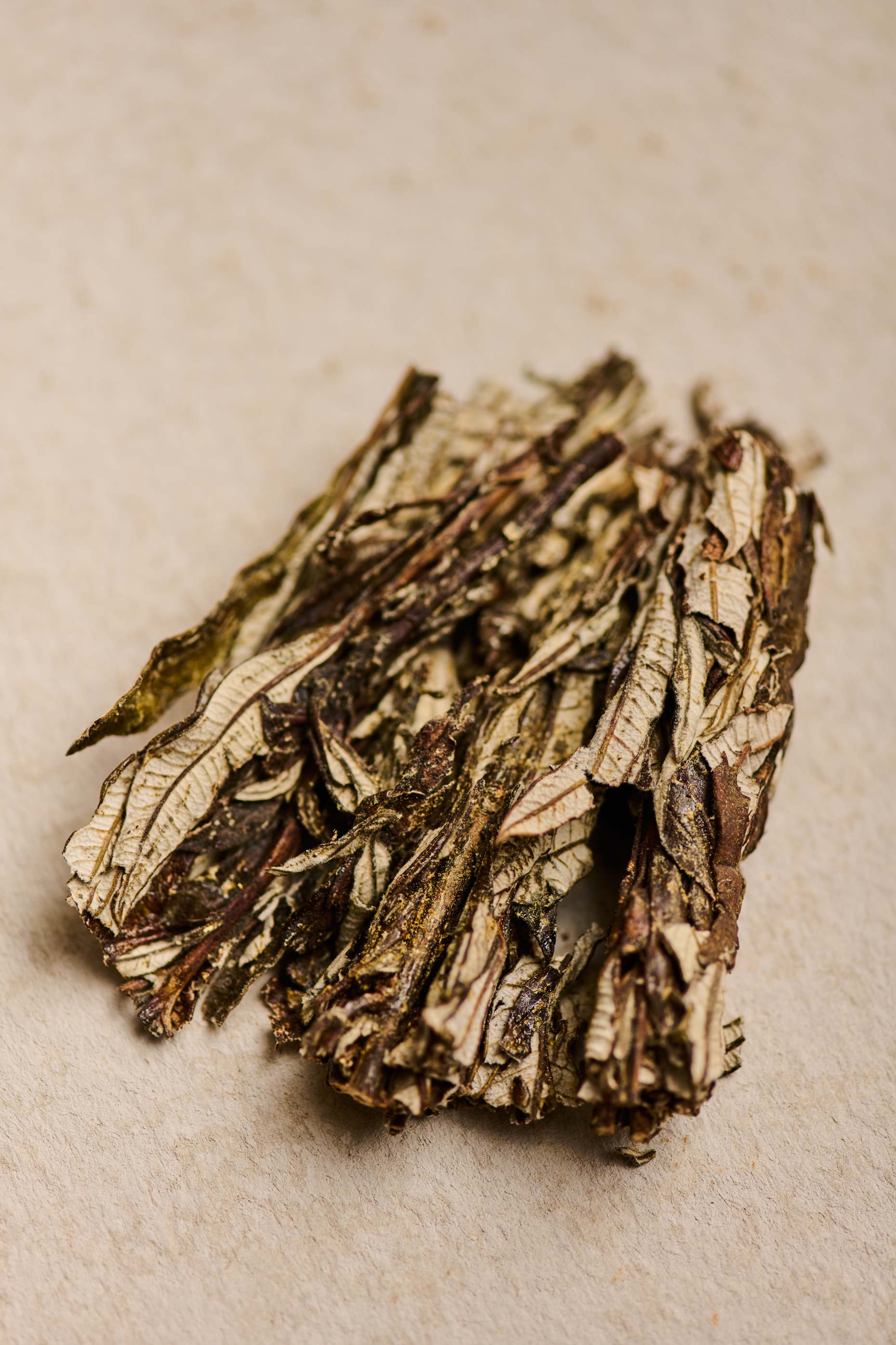 36_Nativo_Botanicals_YerbaSanta_0962-Main_FINAL