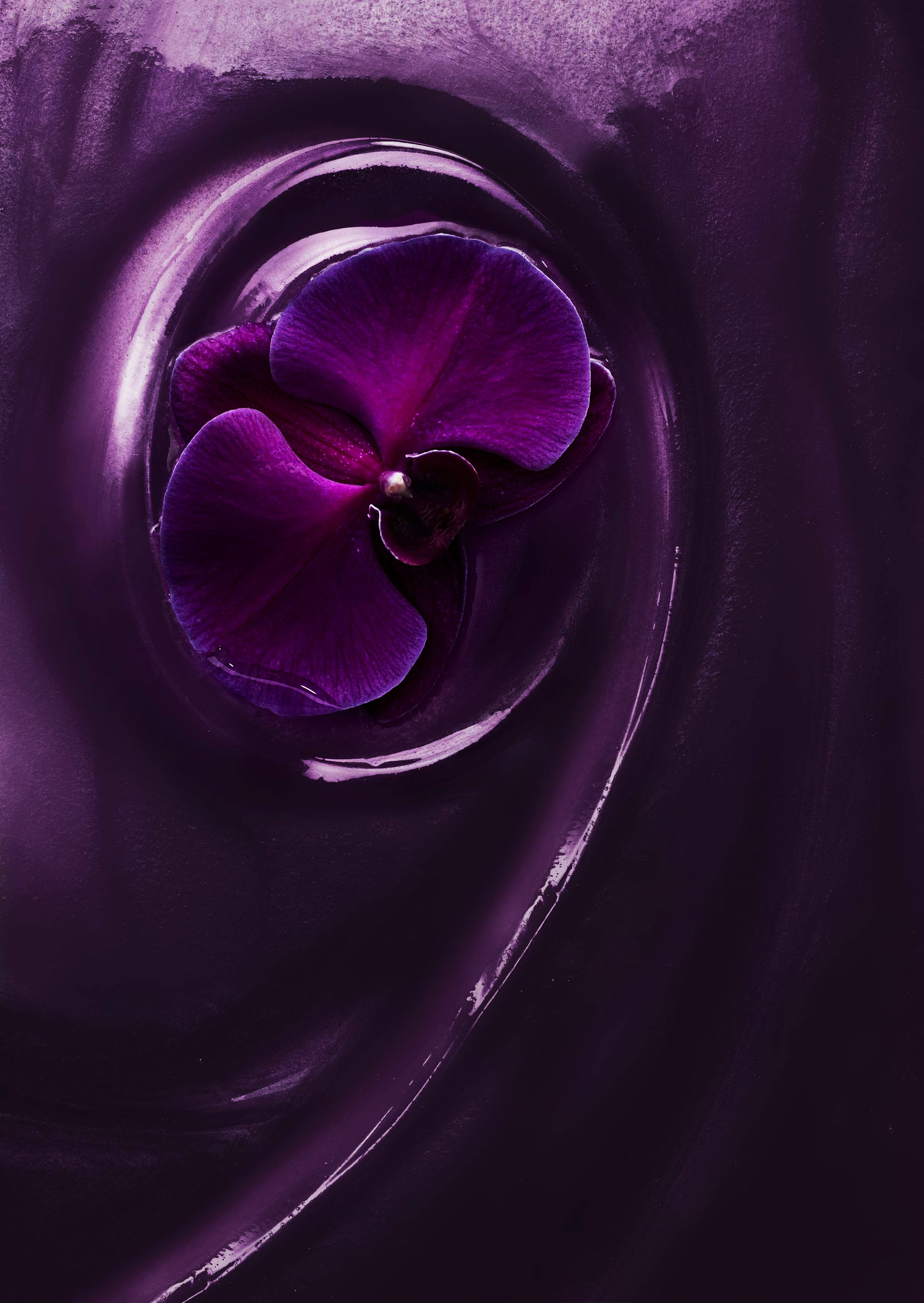 AdrianMueller_Liquids_Photographer_NYC_JKR_Caress_Relax_Orchid_FINAL