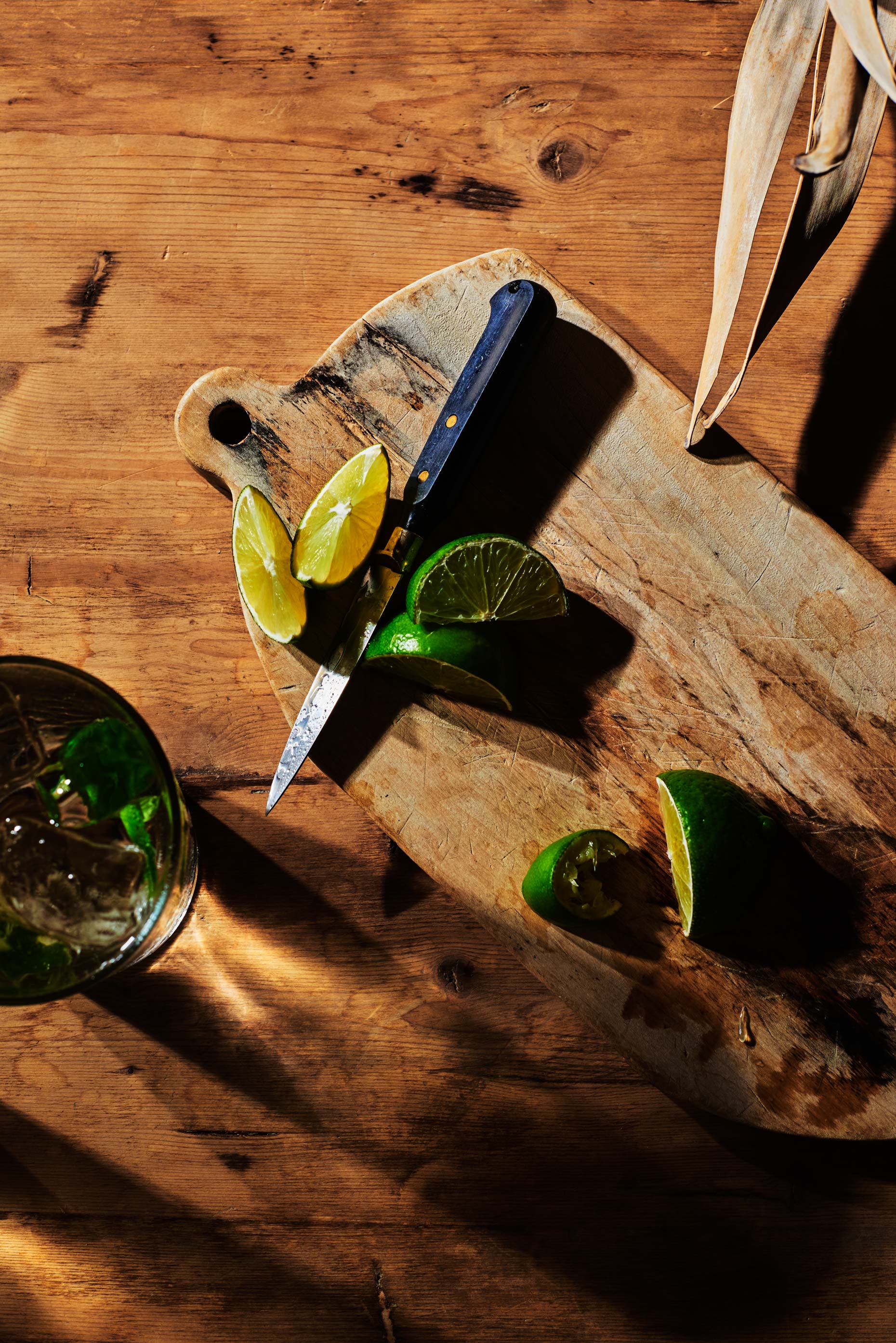 AdrianMueller_Mojito_Cubano_0269