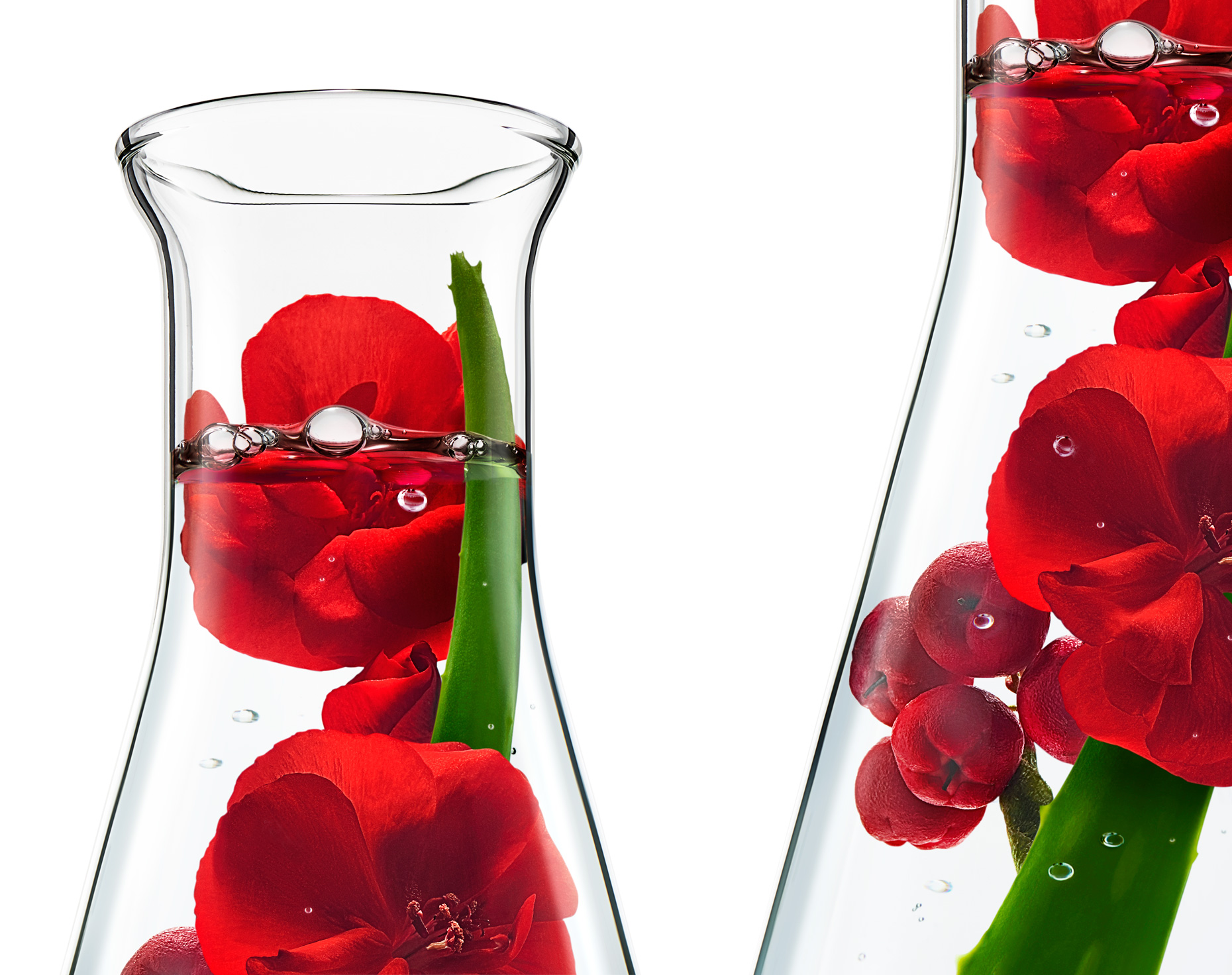AdrianMueller_Still_Life_NewYork_ApotheCARE_Rosehip_02