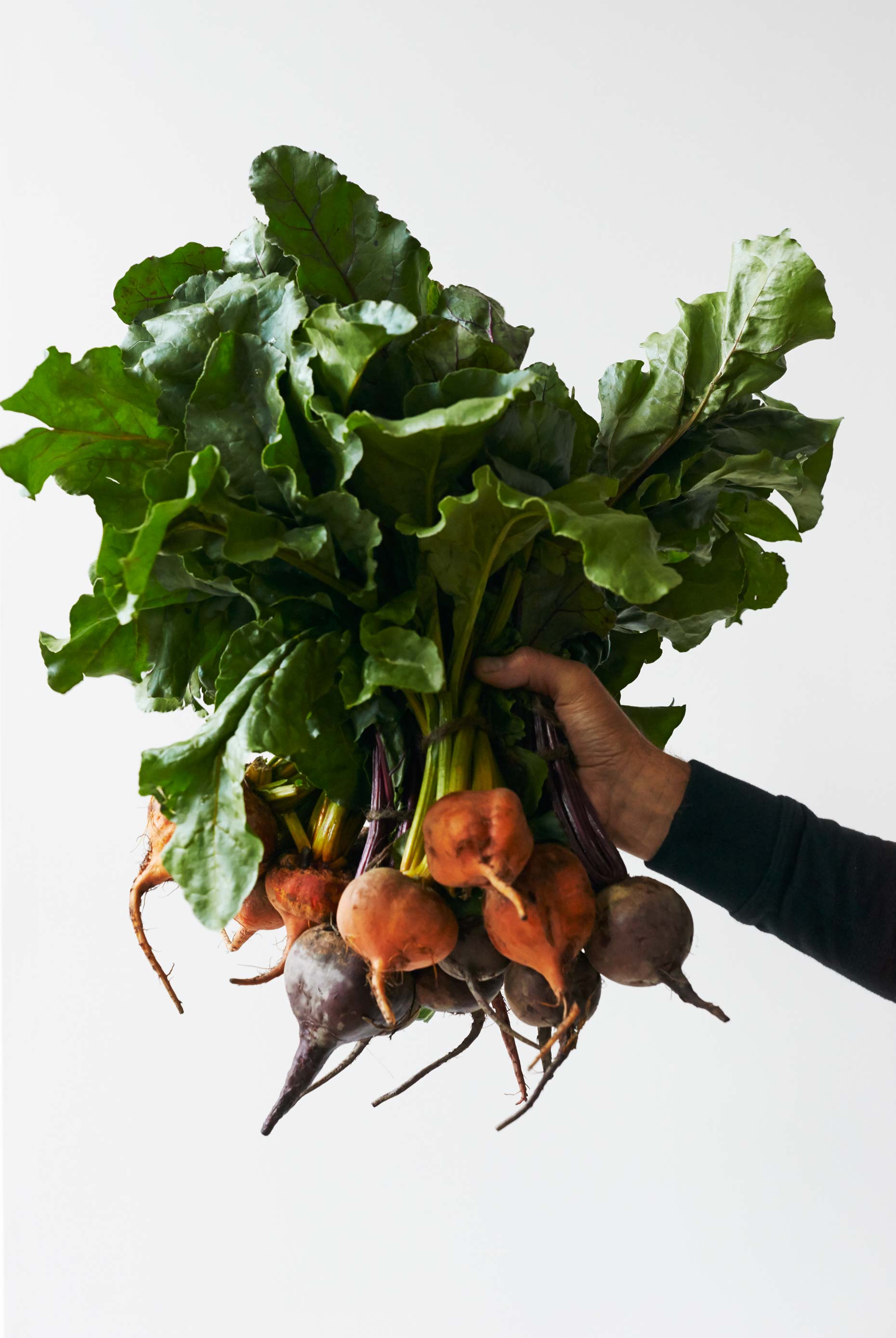 Vegan Cookbook Plantlab, photographed by New York NYC Food Photographer Adrian Mueller