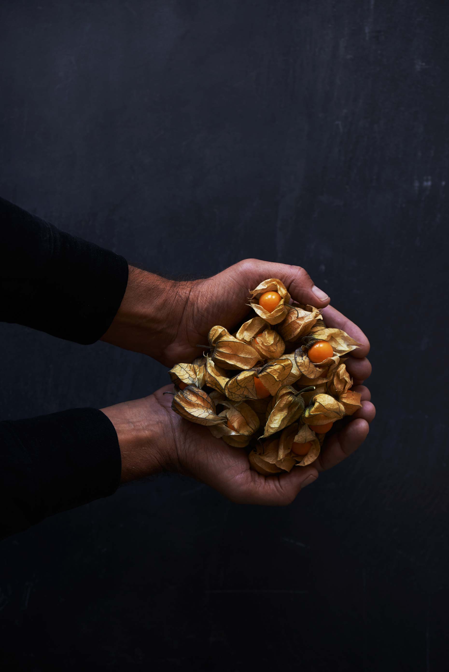 Vegan Cookbook Plantlab, photographed by New York NYC Food Photographer Adrian Mueller