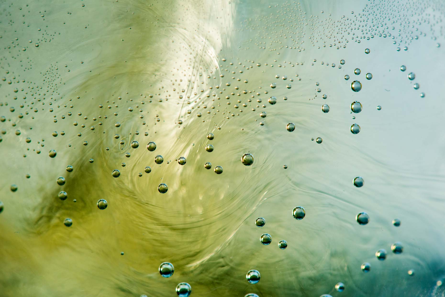 adrian_mueller_liquids_drinks_bubbles_10