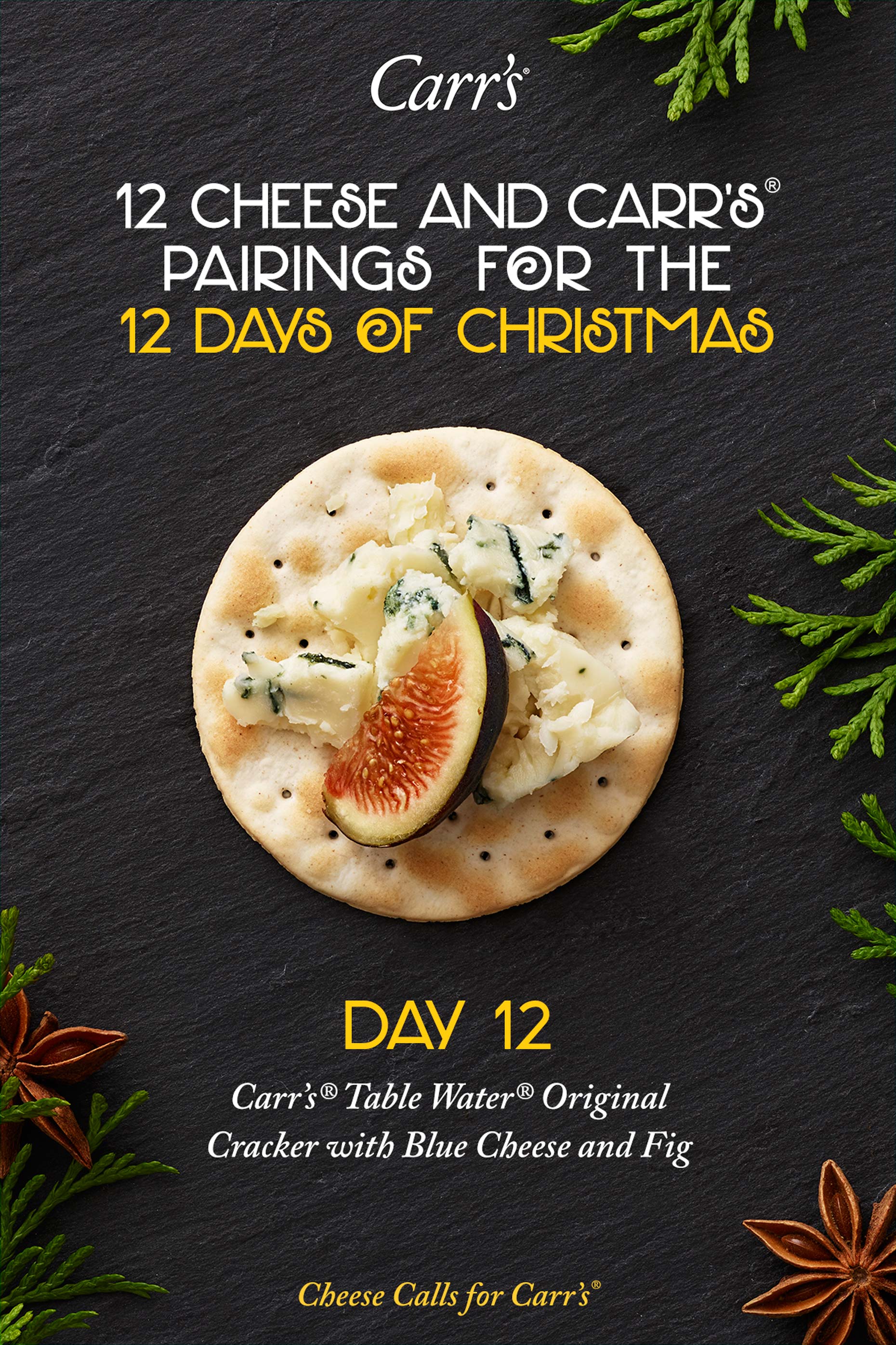 adrianmueller_food_photographer_newyork_carrs-crackers_12