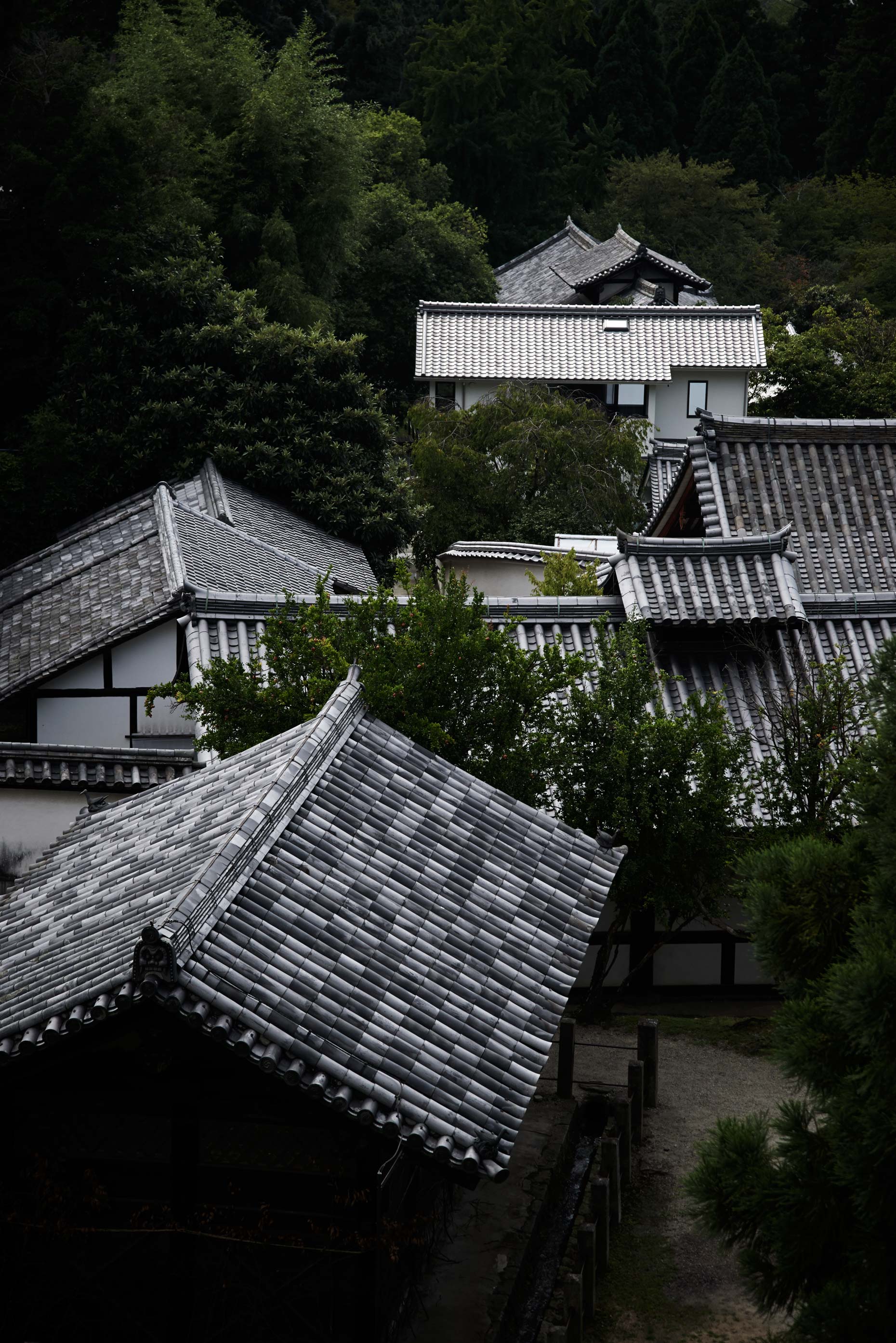 tsukumo_nara_adrianmueller_19